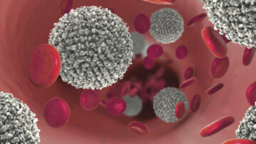 3d illustration showing the increase of non-functional white blood cells in leukaemia (blood cancer).