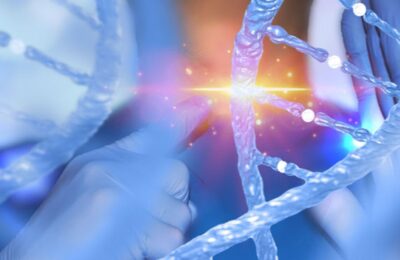 Prescient Therapeutics ramps up Phase 2